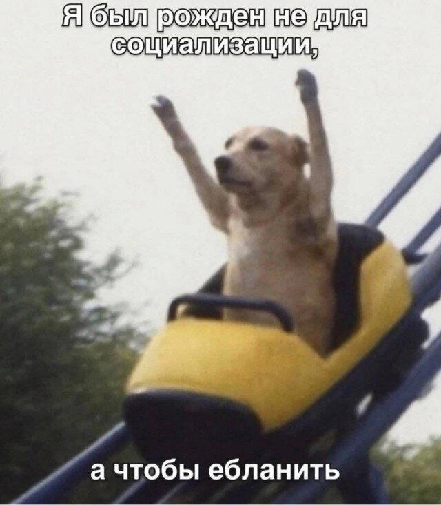 Сегодня без ивентов сегодня только дичка