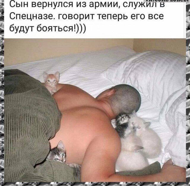 Дичка среды сестричка