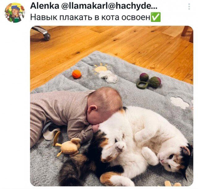 Дичка среды сестричка