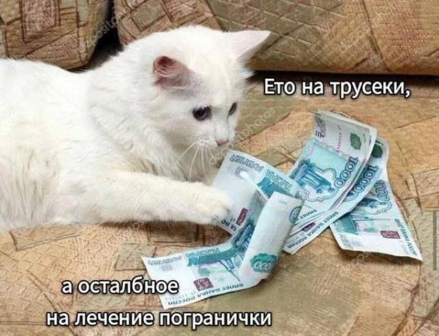 Дичка среды сестричка