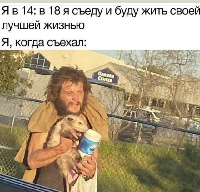 Дичка среды сестричка