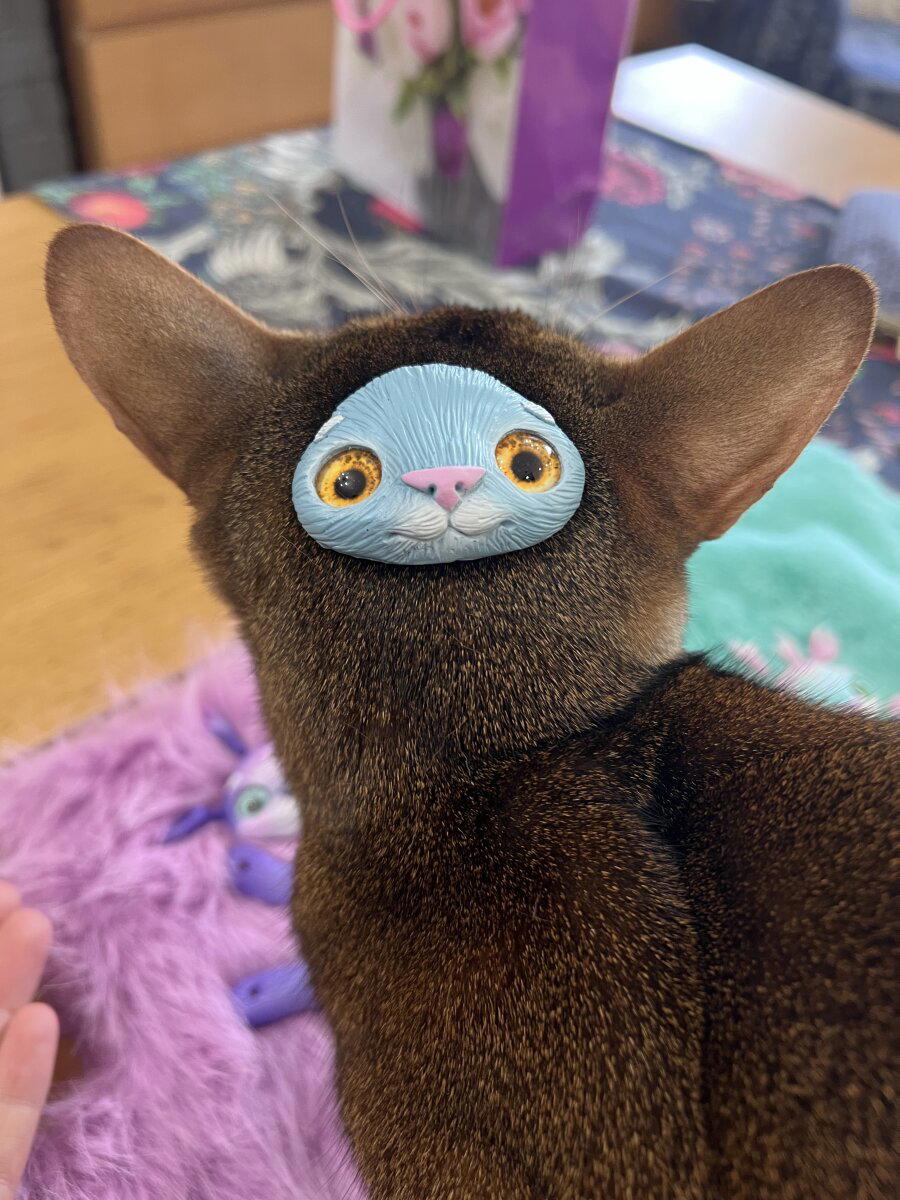 Чеширский кот мог бы выглядеть так)