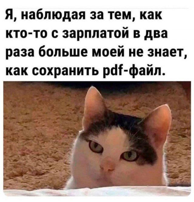 И еще дичи пока отпуск