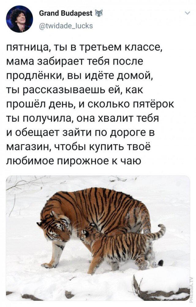 И еще дичи пока отпуск