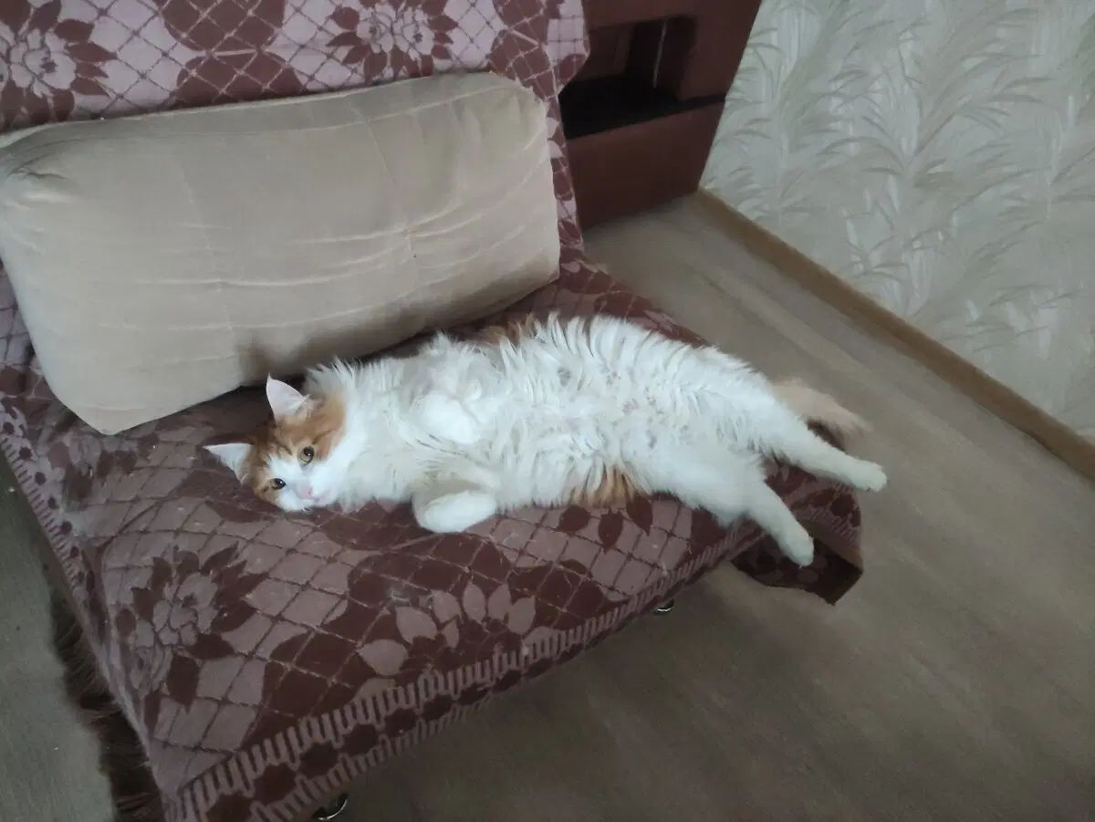 Мой сладкий пирожочек