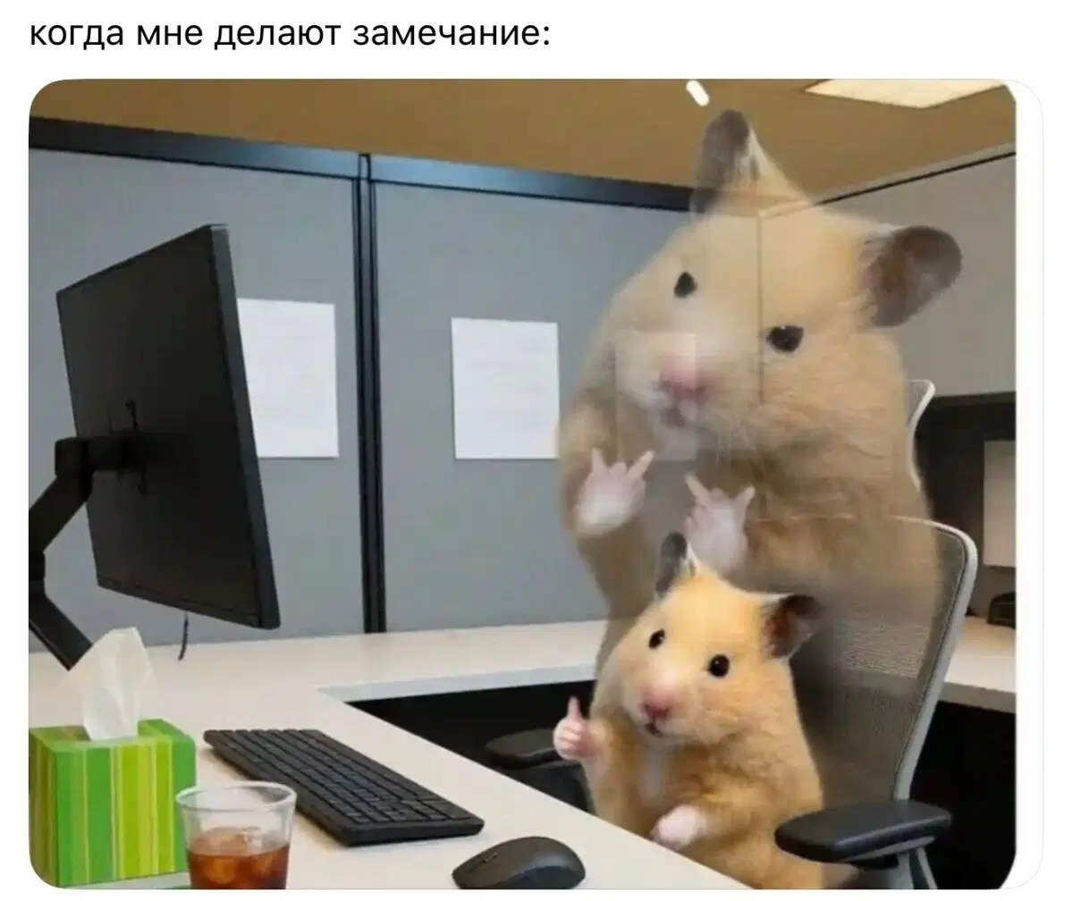 Дички на четверг для разнообразия