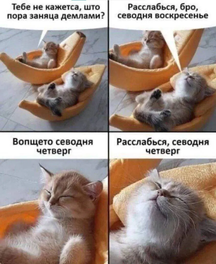 Дички на четверг для разнообразия