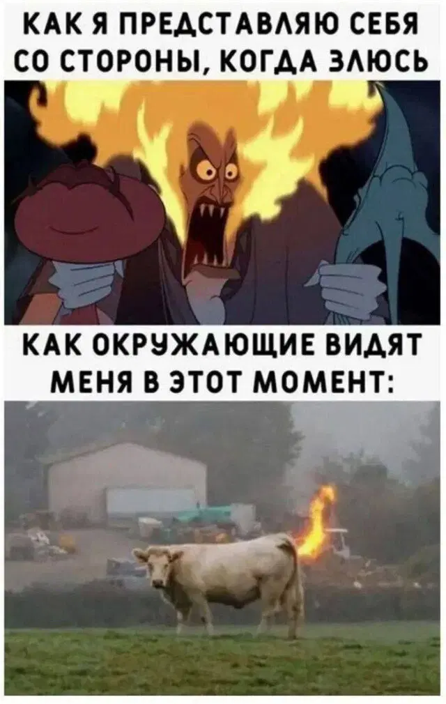 Дички на четверг для разнообразия