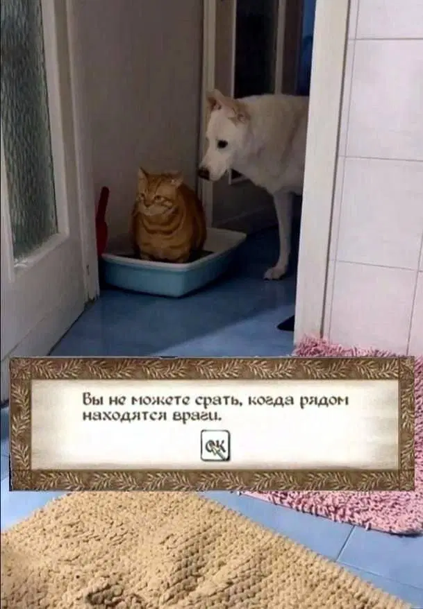 Дички на четверг для разнообразия