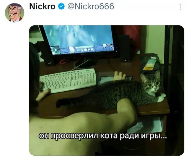 Дички на четверг для разнообразия