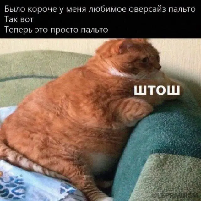 Дички на четверг для разнообразия