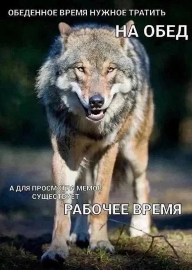 Пятничной дички