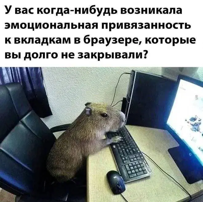 Пятничной дички