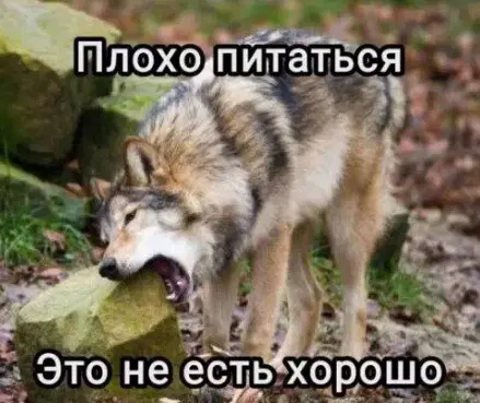 Пятничной дички