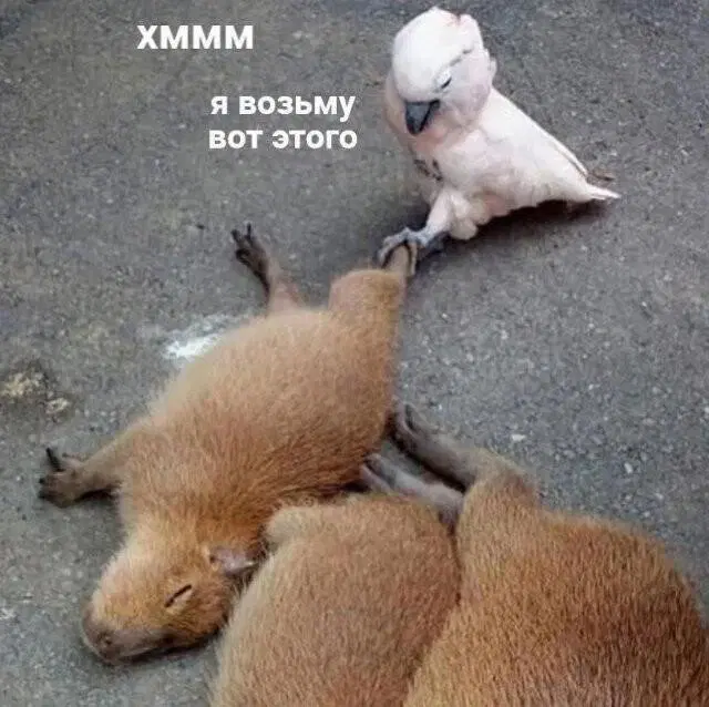 Пятничной дички