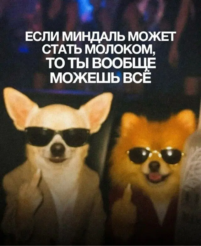 Пятничной дички