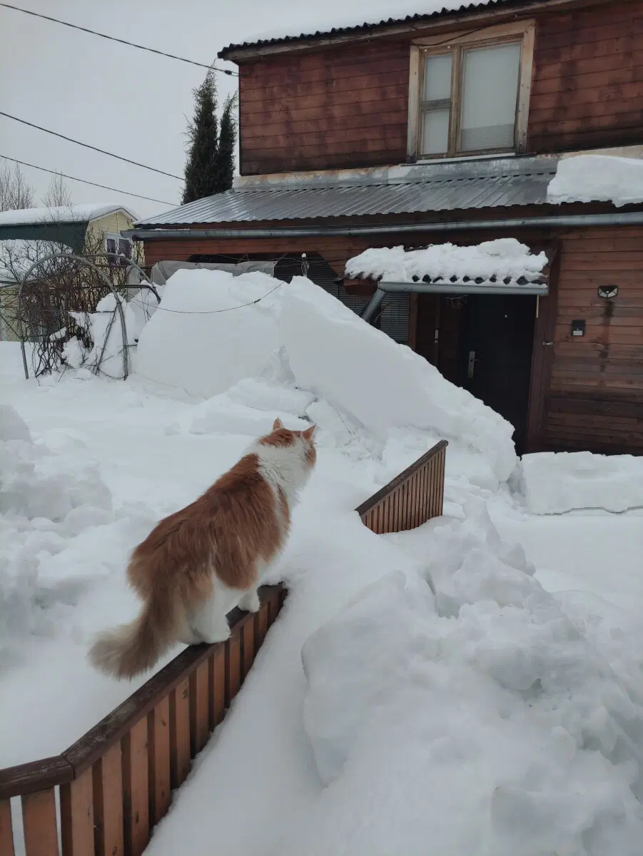 Как раз с крыши соседа сошла лавина