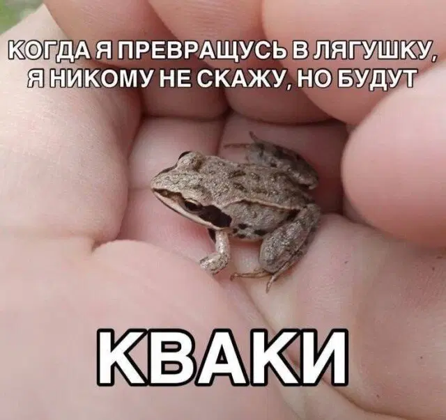 Дички с похмелья?