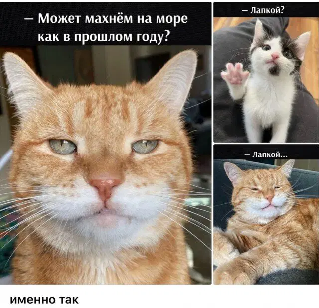Дички с похмелья?