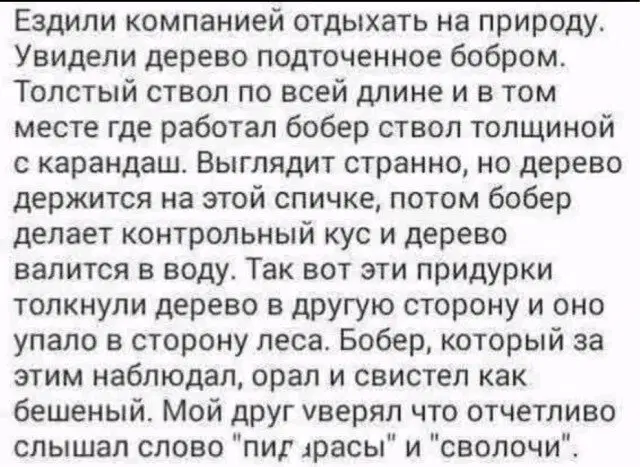 Дички с похмелья?
