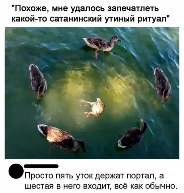 Дички с похмелья?