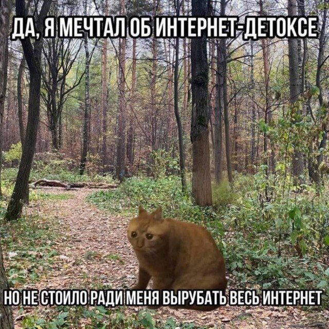 Дички с похмелья?