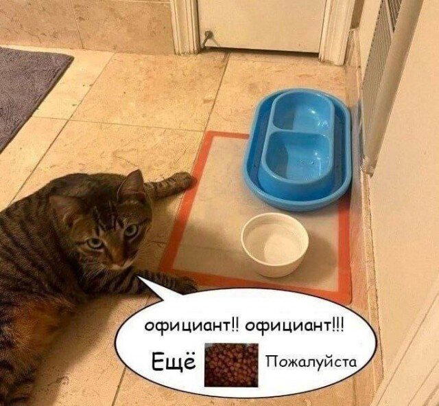 Дички с похмелья?