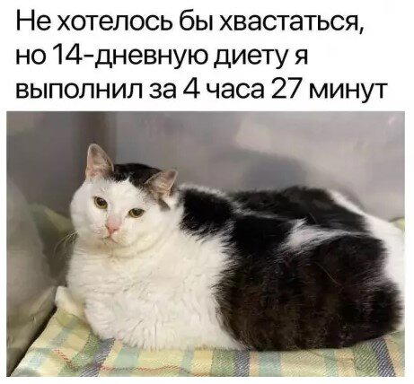 Дички с похмелья?