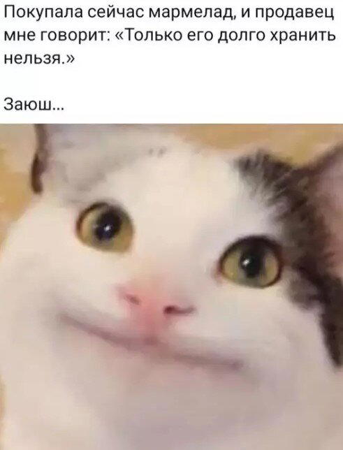 Дички с похмелья?