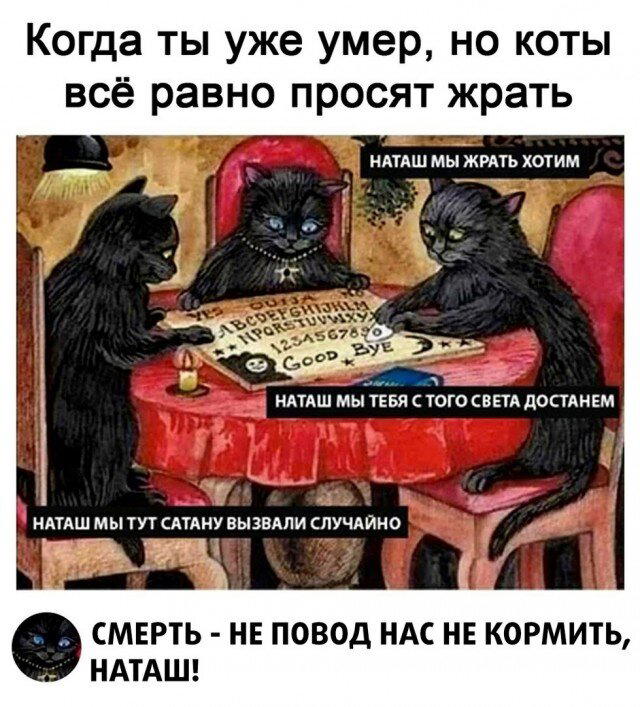 Дички с похмелья?