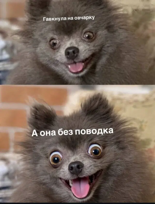 Воскресная дичка