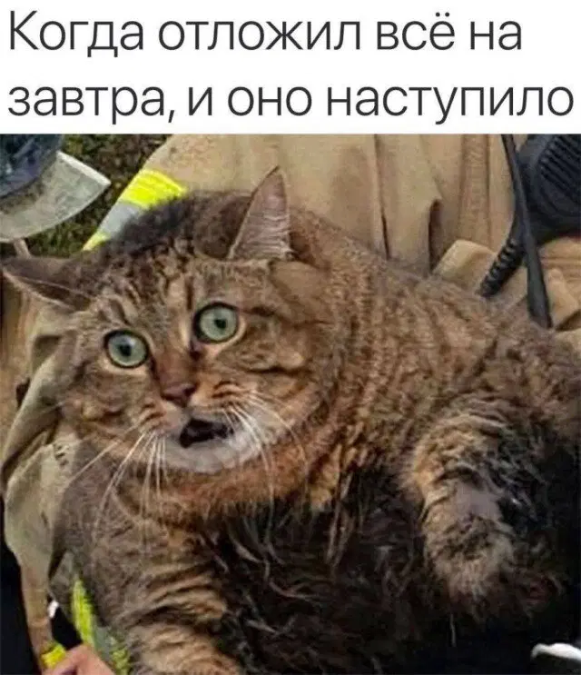 Воскресная дичка