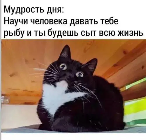 Воскресная дичка