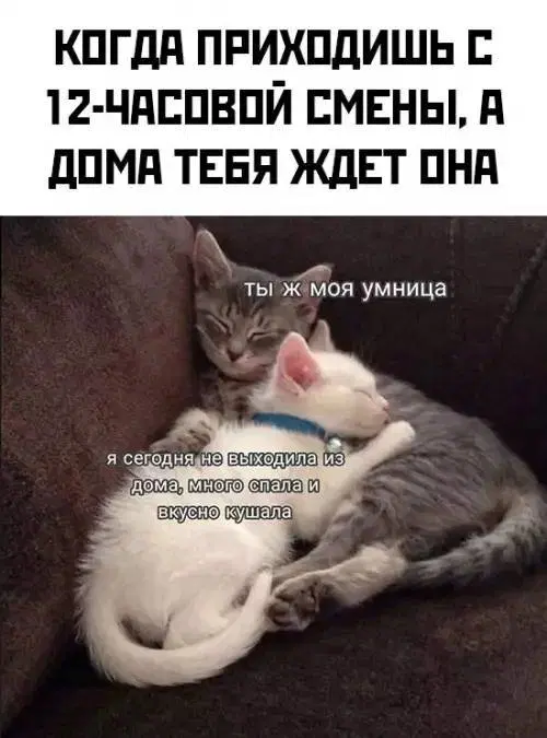 Воскресная дичка