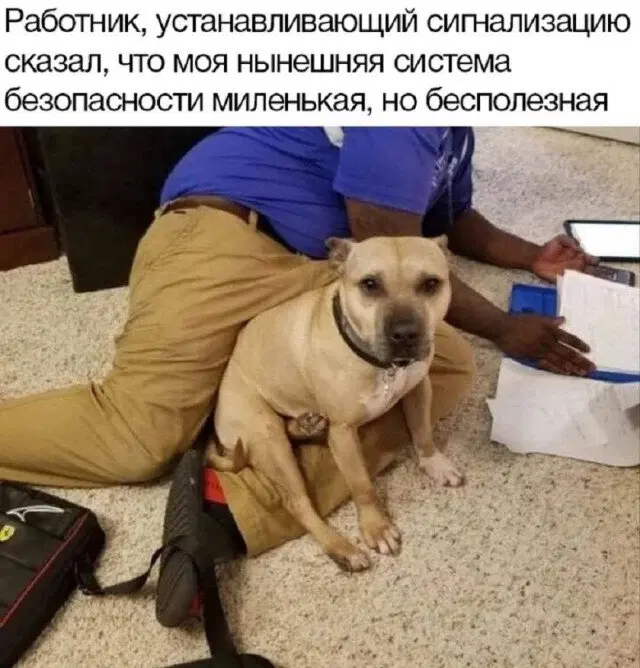 Воскресная дичка