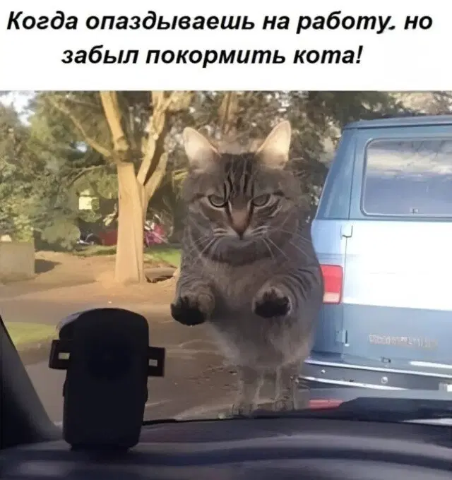 Воскресная дичка