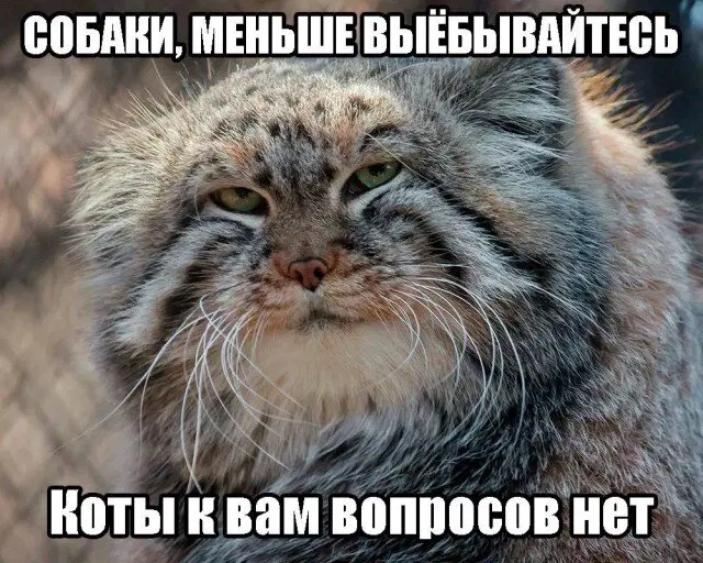 Дичка будет кислить Недельку
