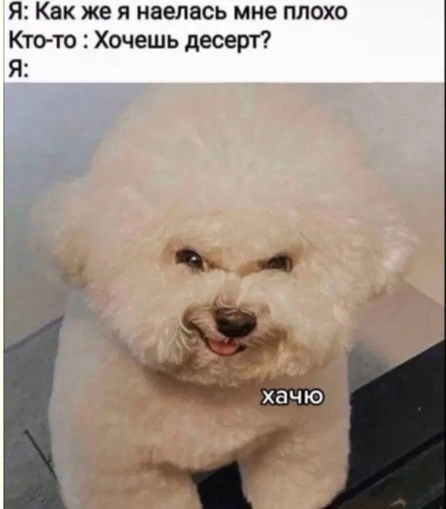 Дичка будет кислить Недельку
