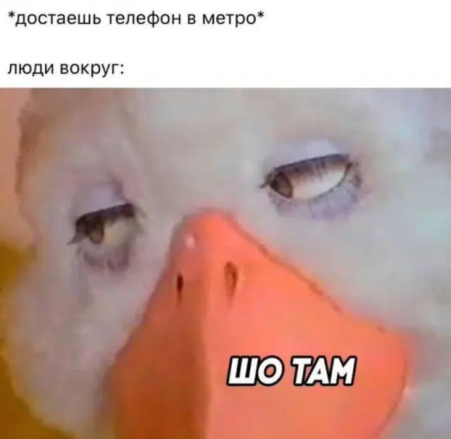 Дичка будет кислить Недельку
