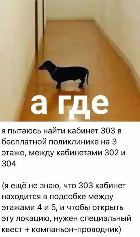 Дичка будет кислить Недельку