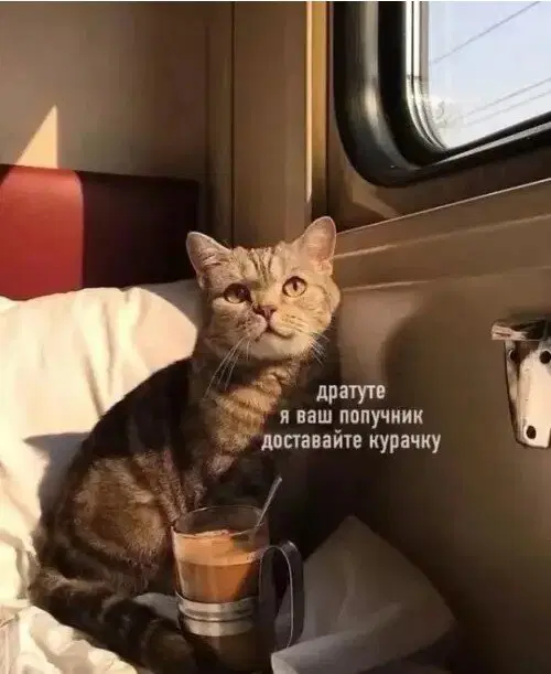 Дичка будет кислить Недельку