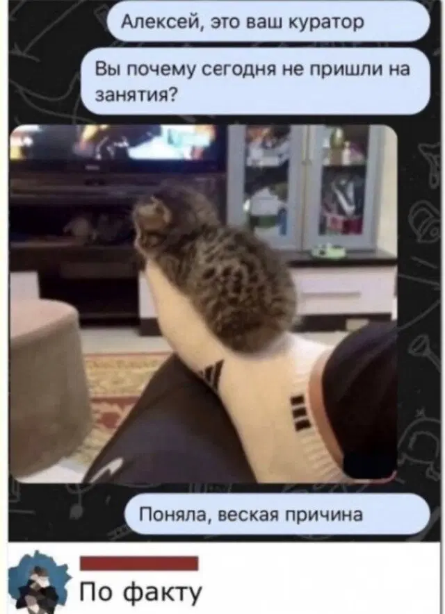Дичка будет кислить Недельку