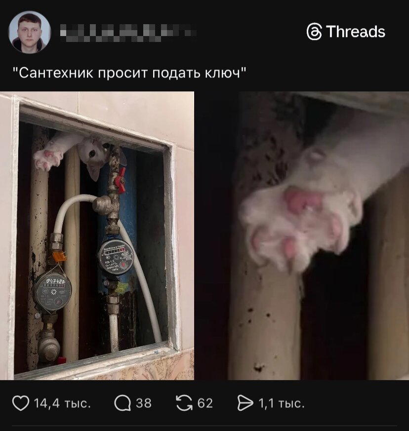 ВторДичкник