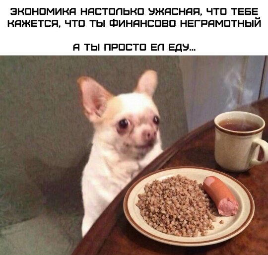 ВторДичкник