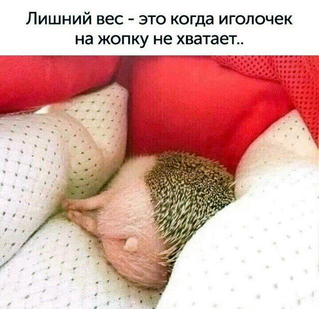 ВторДичкник