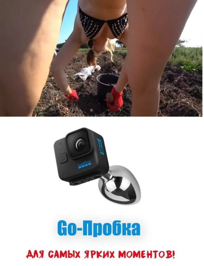 ВторДичкник