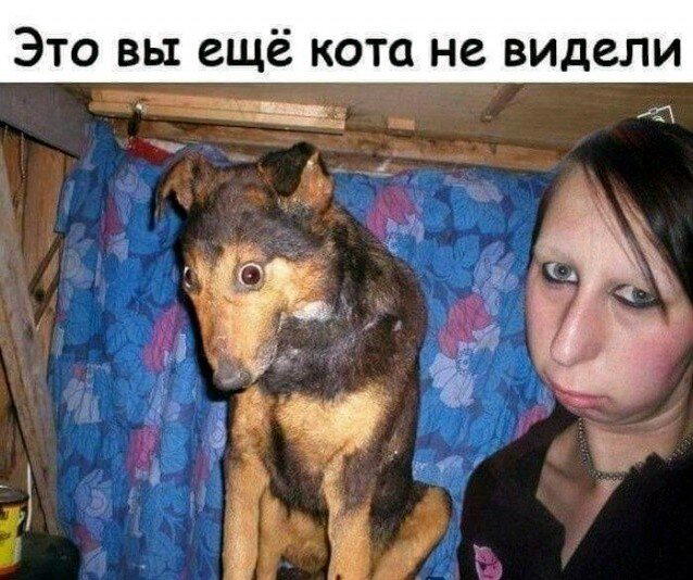 ВторДичкник