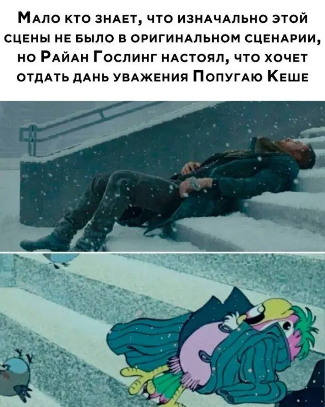 Дичи на среду