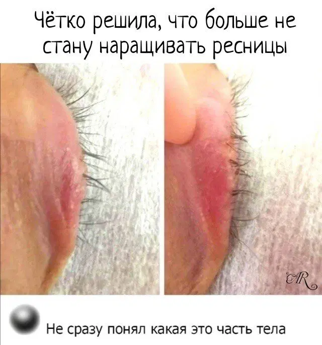 Дичи на среду
