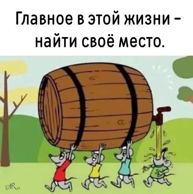 Дичи на среду